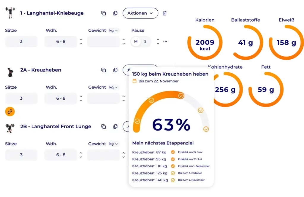 Hexfit-Interface: Trainingsprogramm erstellen mit Kraftziel und Ernährungsdaten