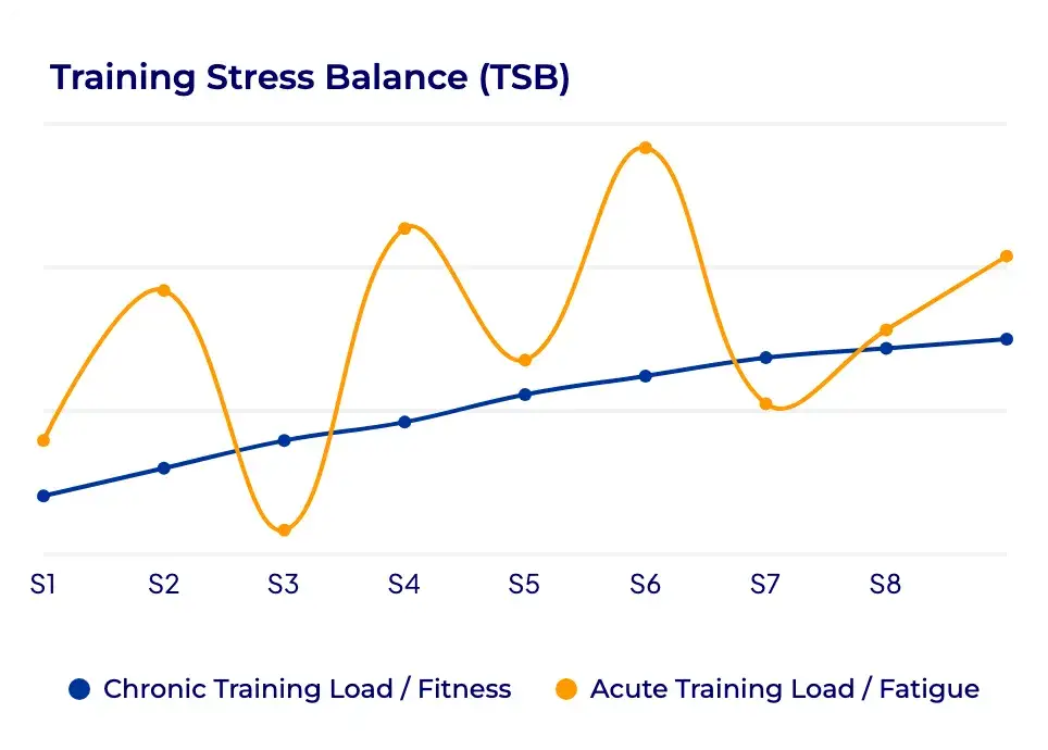 Hexfit graph of the freshness index (TSB), cross-referencing an endurance athlete's chronic and acute training load to visualize their progress